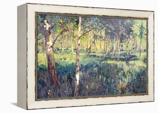 Woodland, 2014-Martin Decent-Framed Premier Image Canvas