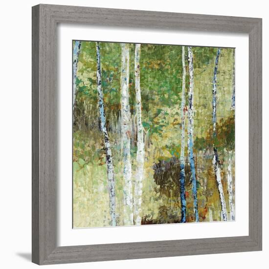 Woodland Birch-Alexys Henry-Framed Giclee Print