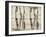 Woodland Birches-null-Framed Giclee Print