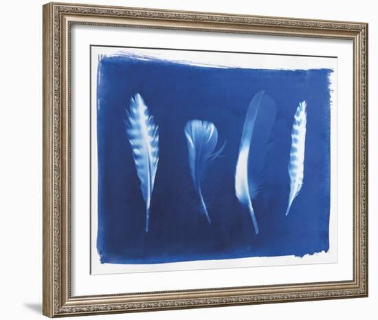 Woodland Bird's Feathers-Sarah Cheyne-Framed Giclee Print