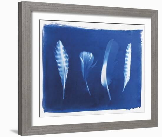 Woodland Bird's Feathers-Sarah Cheyne-Framed Giclee Print