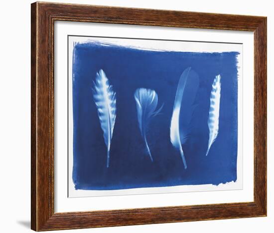 Woodland Bird's Feathers-Sarah Cheyne-Framed Giclee Print