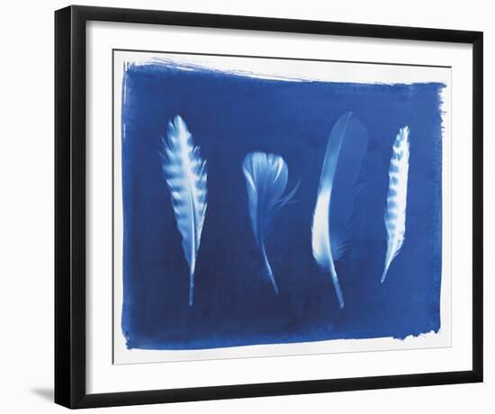 Woodland Bird's Feathers-Sarah Cheyne-Framed Giclee Print