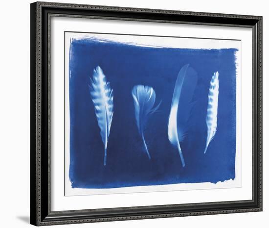 Woodland Bird's Feathers-Sarah Cheyne-Framed Giclee Print