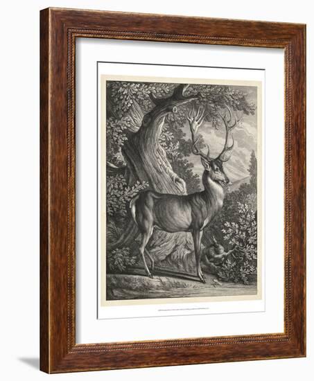 Woodland Deer I-Ridinger-Framed Art Print