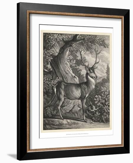 Woodland Deer I-Ridinger-Framed Art Print