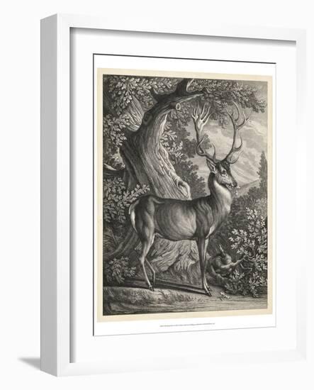 Woodland Deer I-Ridinger-Framed Art Print