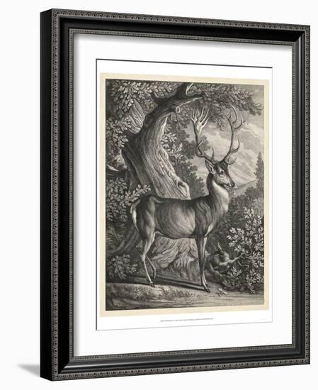 Woodland Deer I-Ridinger-Framed Art Print