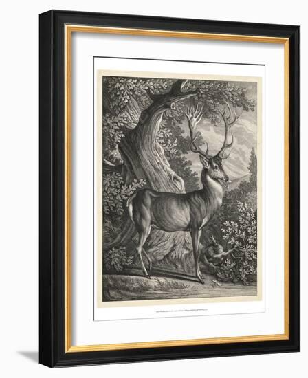 Woodland Deer I-Ridinger-Framed Art Print