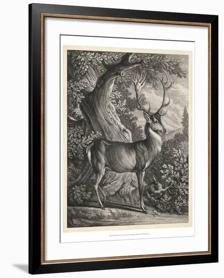 Woodland Deer I-Ridinger-Framed Art Print