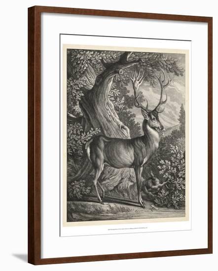 Woodland Deer I-Ridinger-Framed Art Print
