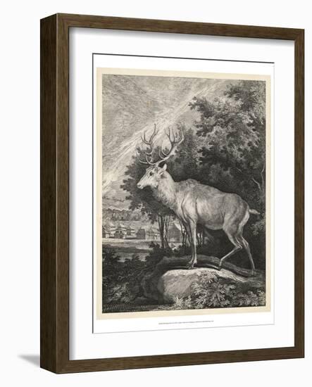 Woodland Deer II-Ridinger-Framed Art Print