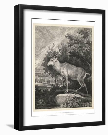 Woodland Deer II-Ridinger-Framed Art Print