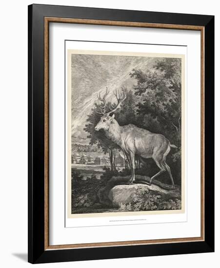 Woodland Deer II-Ridinger-Framed Art Print