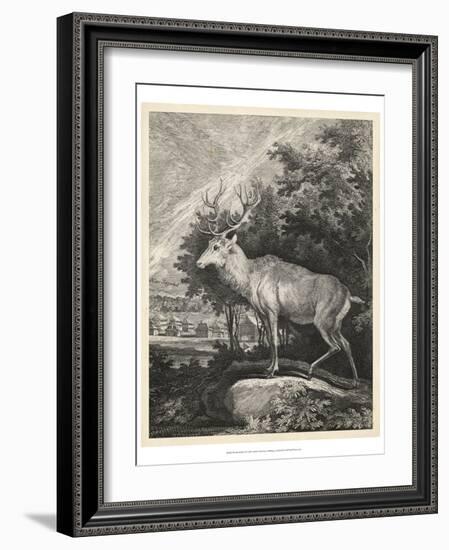 Woodland Deer II-Ridinger-Framed Art Print