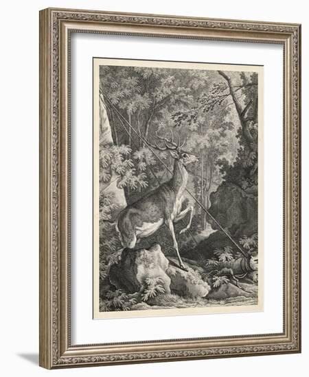 Woodland Deer VII-Ridinger-Framed Art Print