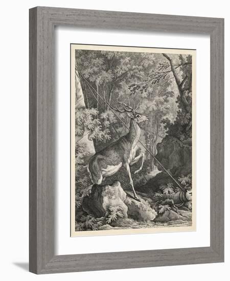 Woodland Deer VII-Ridinger-Framed Art Print