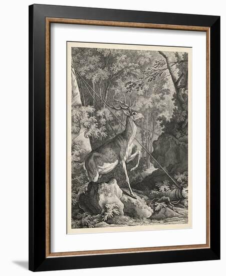 Woodland Deer VII-Ridinger-Framed Art Print