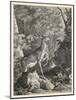 Woodland Deer VII-Ridinger-Mounted Art Print