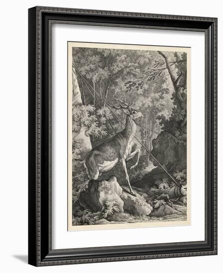 Woodland Deer VII-Ridinger-Framed Art Print