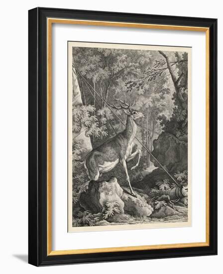 Woodland Deer VII-Ridinger-Framed Art Print