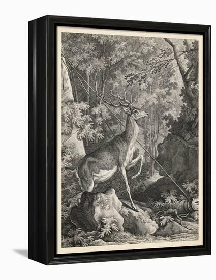 Woodland Deer VII-Ridinger-Framed Stretched Canvas