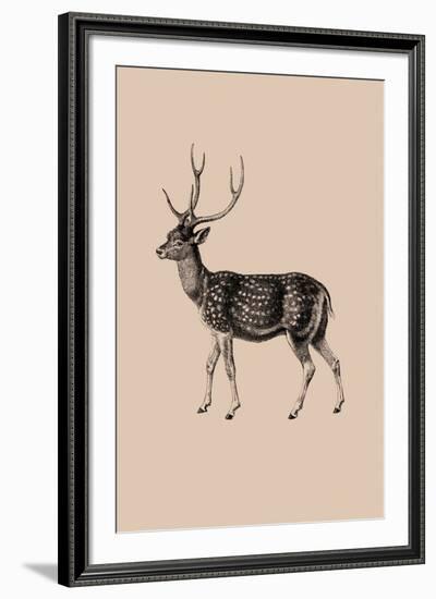 Woodland - Deer-Maria Mendez-Framed Giclee Print