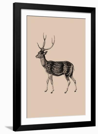 Woodland - Deer-Maria Mendez-Framed Giclee Print