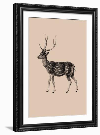 Woodland - Deer-Maria Mendez-Framed Giclee Print