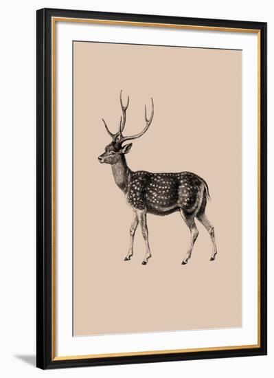 Woodland - Deer-Maria Mendez-Framed Giclee Print