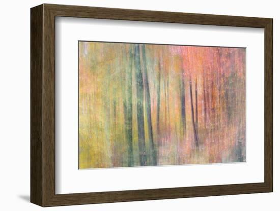 Woodland Dreams IV-Doug Chinnery-Framed Photographic Print