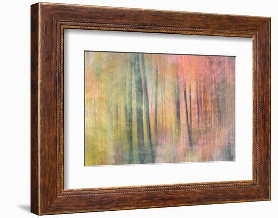 Woodland Dreams IV-Doug Chinnery-Framed Photographic Print