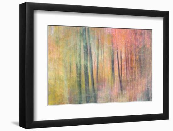 Woodland Dreams IV-Doug Chinnery-Framed Photographic Print