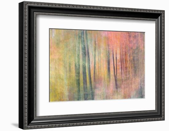 Woodland Dreams IV-Doug Chinnery-Framed Photographic Print