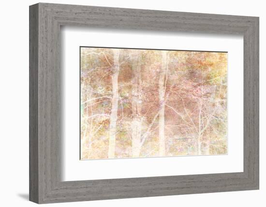 Woodland Dreams-Doug Chinnery-Framed Photographic Print