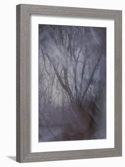 Woodland Dreams-Doug Chinnery-Framed Giclee Print