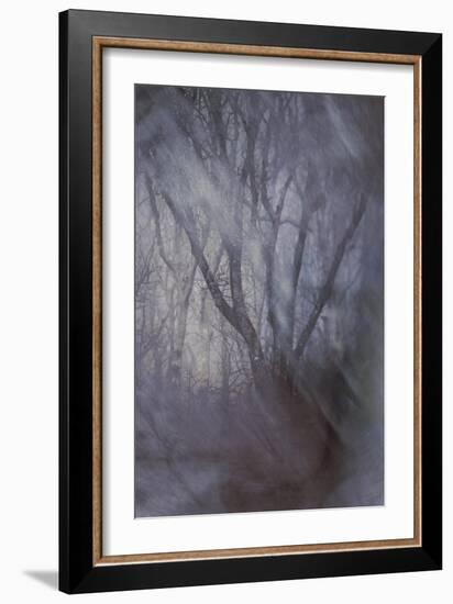 Woodland Dreams-Doug Chinnery-Framed Giclee Print