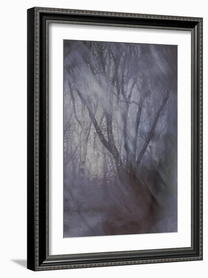 Woodland Dreams-Doug Chinnery-Framed Giclee Print