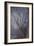 Woodland Dreams-Doug Chinnery-Framed Giclee Print