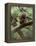 Woodland Essentials-Susann Parker-Framed Premier Image Canvas