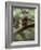 Woodland Essentials-Susann Parker-Framed Photographic Print