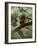 Woodland Essentials-Susann Parker-Framed Photographic Print