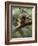 Woodland Essentials-Susann Parker-Framed Photographic Print