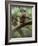 Woodland Essentials-Susann Parker-Framed Photographic Print