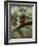 Woodland Essentials-Susann Parker-Framed Photographic Print