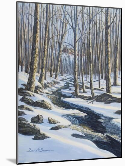 Woodland Farm Stream-Bruce Dumas-Mounted Giclee Print