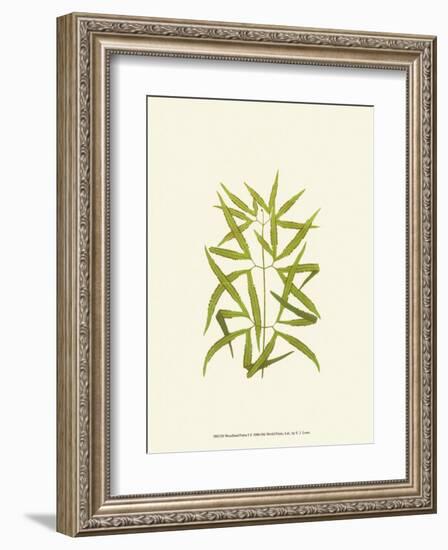 Woodland Ferns I-Edward Lowe-Framed Art Print