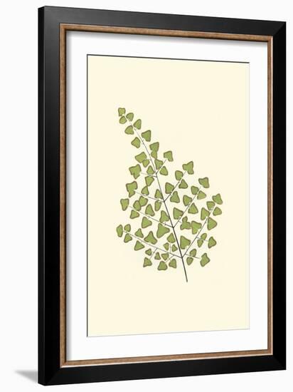 Woodland Ferns II-Edward Lowe-Framed Art Print