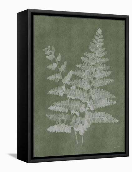 Woodland Ferns II-Annie LaPoint-Framed Stretched Canvas