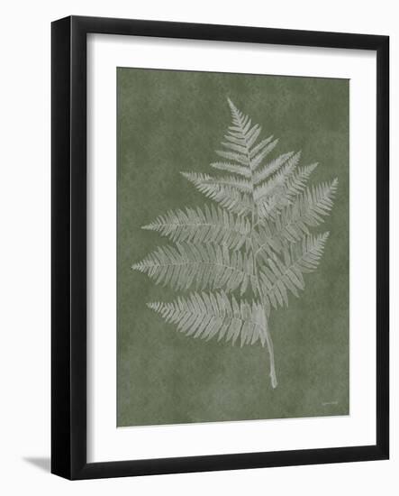 Woodland Ferns III-Annie LaPoint-Framed Art Print